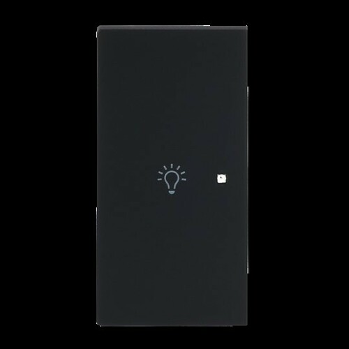 Busch-Jaeger Wippe 2-fach links m. Sym. Licht 6231-21-45M