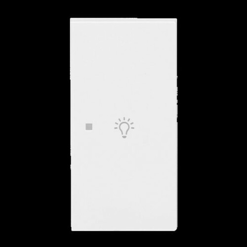 Busch-Jaeger Wippe 2-fach rechts m.Sym. Licht 6231-22-44G