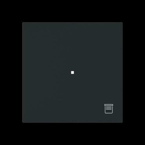 Busch-Jaeger Wippe 1-fach mit Symbol Jalousie 6232-10-45M