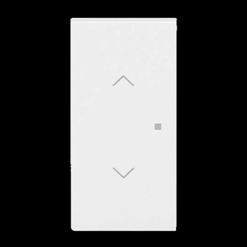 Busch-Jaeger Wippe 2-fach mit Symbol Jalousie 6232-20-44G