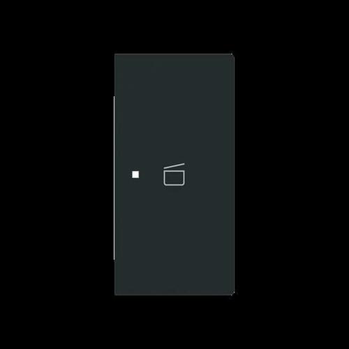 Busch-Jaeger Wippe 2-fach rechts m.Sym. Szene 6233-22-45M