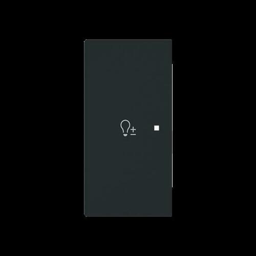 Busch-Jaeger Wippe 2-fach links m. Sym. Dimmer 6234-21-45M