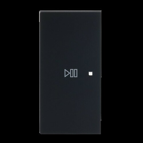 Busch-Jaeger Wippe 2-fach links Symbol Play/Pause 6237-21-45M