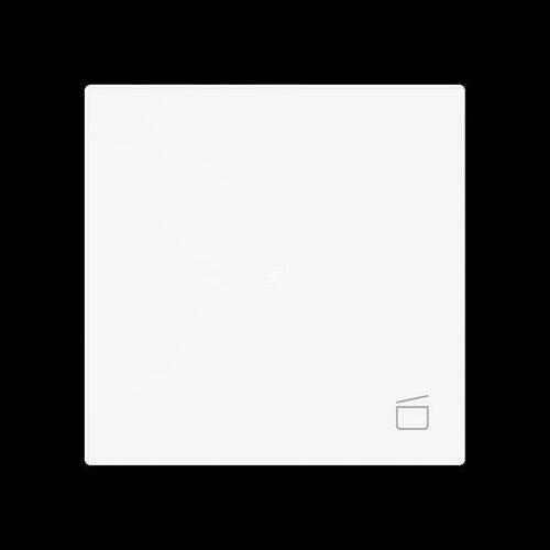 Busch-Jaeger Wippe 1-fach mit Symbol Szene 6233-10-44G