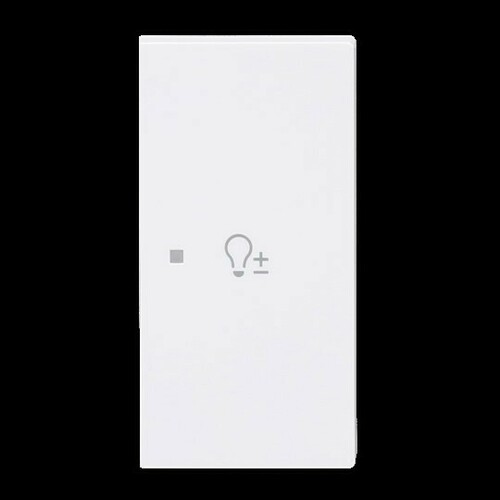 Busch-Jaeger Wippe 2-fach rechts m.Sym. Dimmer 6234-22-44G