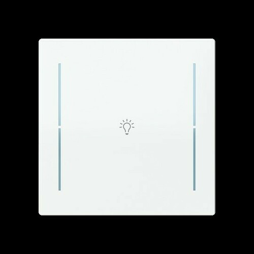 Busch-Jaeger Abdeckung als Taster 1-fach Symb.Beleuchtung LFB/A.1.70.11-44g