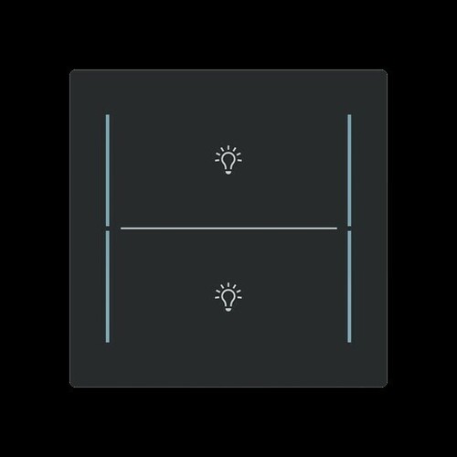 Busch-Jaeger Abdeckung als Taster 2-fach Symb.Beleuchtung LFBT/A.2.70.11-45m