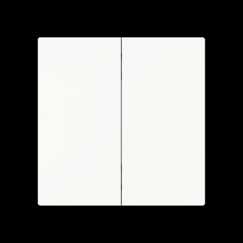 Busch-Jaeger Wippe 2-fach Smart Switch 6736 FoH-44M