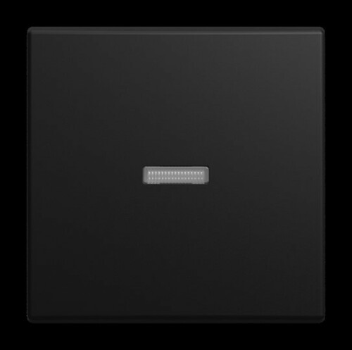 Busch-Jaeger Wippe 1789 N-915