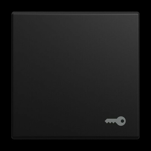 Busch-Jaeger Wippe mit Aufdruck 2520 TR-915