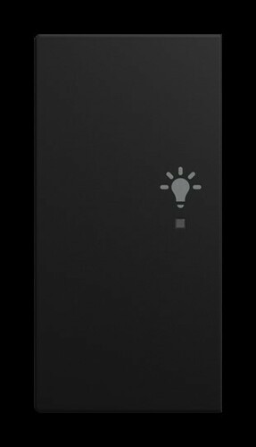 Busch-Jaeger Wippe 2-fach links, mit Symbol 6231-21-915