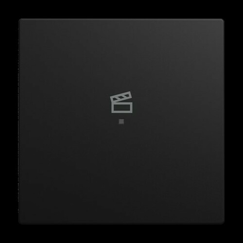 Busch-Jaeger Wippe 6233-10-915 Busch-Jaeger Wippe 6233-10-915