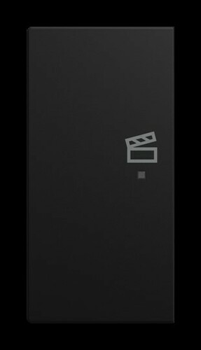 Busch-Jaeger Wippe 6233-21-915