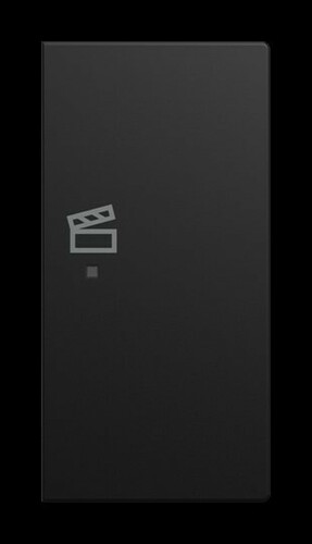 Busch-Jaeger Wippe 6233-22-915