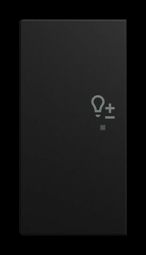 Busch-Jaeger Wippe 6234-21-915