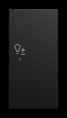 Busch-Jaeger Wippe 6234-22-915