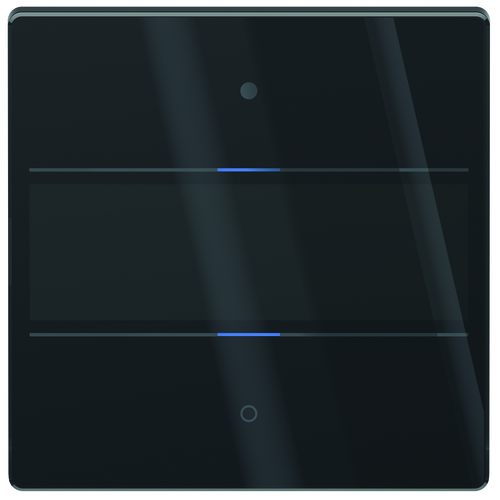 Theben Glas-Tastsensor LUXORliving iON2G BK