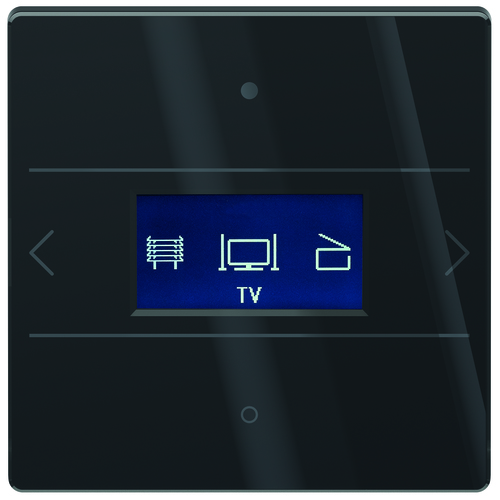 Theben Glas-Raumcontroller LUXORliving iON8G BK