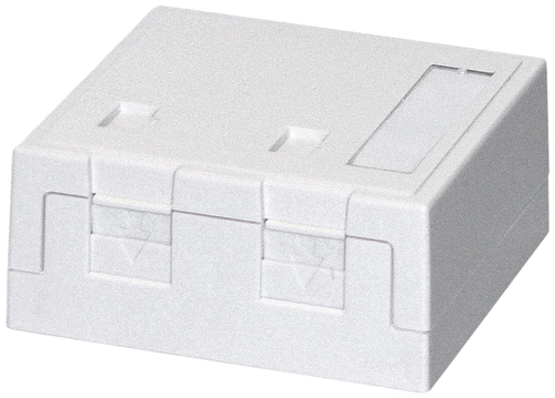 Dätwyler IT Infra Aufputzdose rw 2xKeystone Module 68x65x30mm 418037
