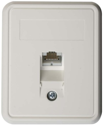 Telegärtner Anschlussdose Cat.6A apws UMJ45 8 K AP 100023001