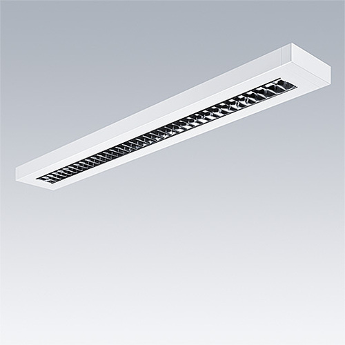 Thorn LED-Aufputzleuchte 840 PUNCH 3 LV #96635736