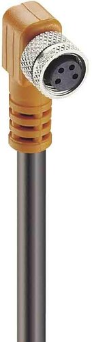 Belden Kupplung m.Schraubver. 3pol.,M8,10m Kab.PUR RKMWV 3-224/10m