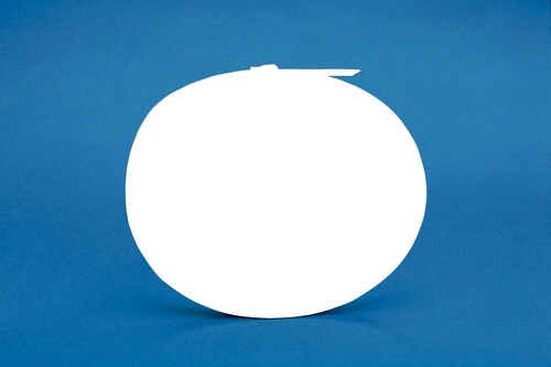 Panduit Kabelbinder Edelstahl 1054mm MLT6DSH-Q316