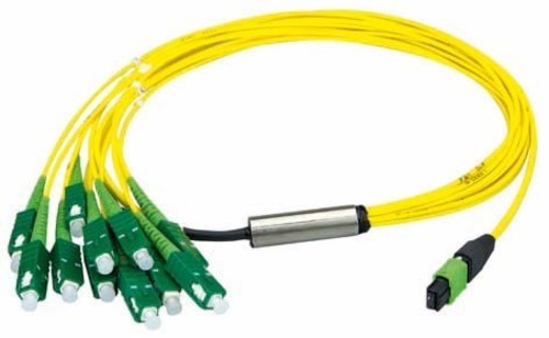 Telegärtner MPO/MTP Aufteilkabel gb 1m MPO APC OS2 12SC SM 100010925