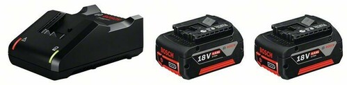 Bosch Power Tools 18V Starter Set 2x4Ah, GAL18V-40 1600A019S0
