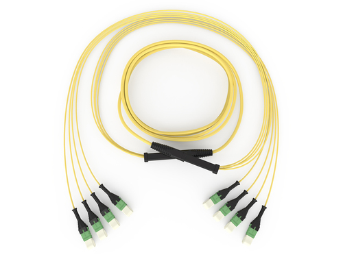 Corning EDGE8 Trunkkabel 30m 50µm SM OS2 16F MTP GE7E716GLZDDU030M