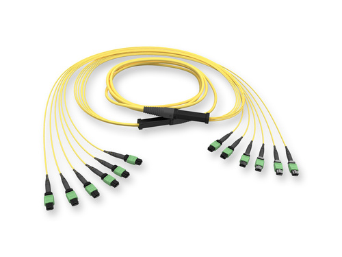 Corning EDGE8 Trunkkabel 30m 50µm SM OS2 48F MTP GE7E748GLZDDU030M