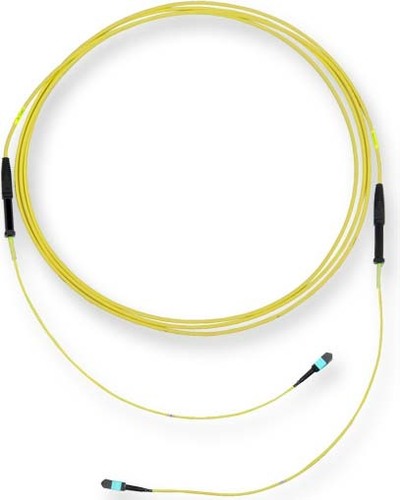 Corning LWL-Trunkkabel Edge XB 12F MTP/f-MTP/f G909012GLZ88U030M