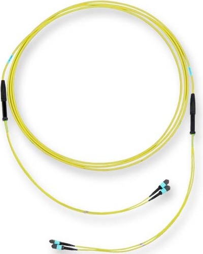 Corning LWL-Trunkkabel Edge XB 24F MTP/f-MTP/f G909024GLZ88U030M