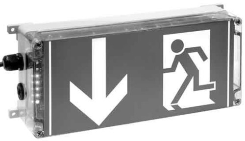 Ceag Sicherheitst. Ex-Rettungszeichenleuchte 1 2191 020 003 Ceag Sicherheitst. Ex-Rettungszeichenleuchte 1 2191 020 003