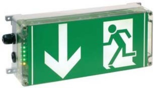 Ceag Sicherheitst. Ex-Rettungszeichenleuchte neutral 1 2191 030 004 Ceag Sicherheitst. Ex-Rettungszeichenleuchte neutral 1 2191 030 004