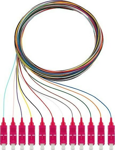 Rutenbeck Pigtails OM4, 2m 12xSC OM4 2m