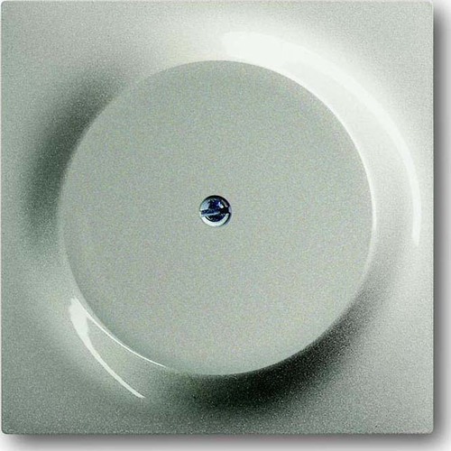 Busch-Jaeger Zentralscheibe champagner Blindabd,m.Tragring 1742-79 Busch-Jaeger Zentralscheibe champagner Blindabd,m.Tragring 1742-79