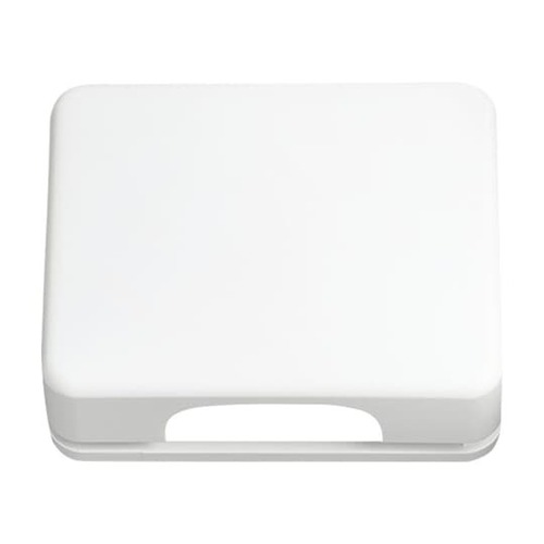 Busch-Jaeger Zentralscheibe studioweiß glänzend UAE,50x50,Klappdeck. 1746-24G-101