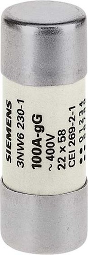 Siemens Dig.Industr. Zylindersicherung o.Anzeiger,Gr.22 3NW6222-1