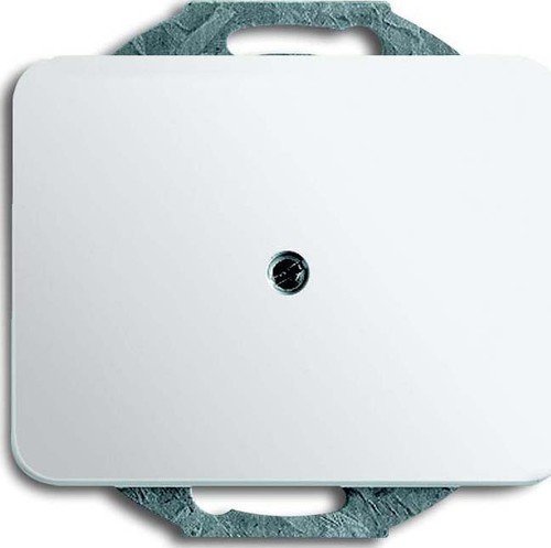 Busch-Jaeger Zentralscheibe stws gl m.Tragr.f.Ltgsauslaß 1749-24G Busch-Jaeger Zentralscheibe stws gl m.Tragr.f.Ltgsauslaß 1749-24G