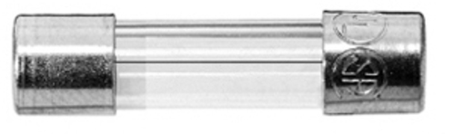 Schurter Sicherungseinsatz 0034.3123