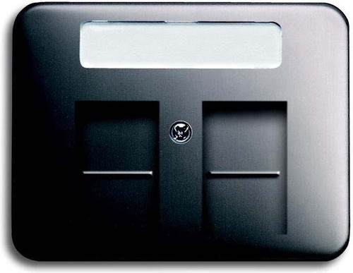 Busch-Jaeger Zentralscheibe platin Mod.Jack,2Ö,Beschri. 1800-20 Busch-Jaeger Zentralscheibe platin Mod.Jack,2Ö,Beschri. 1800-20