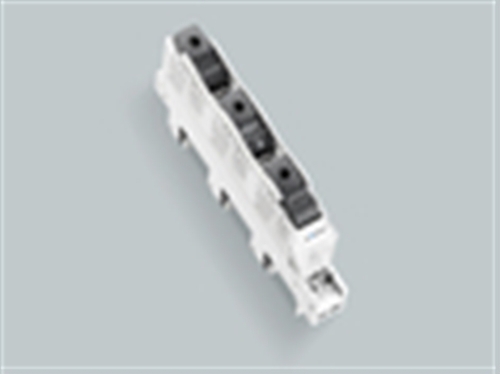 Wöhner Reiter-Sicherungs-Schalter LED DO-Sicherung E18 31525