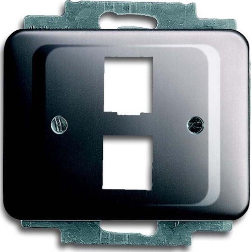 Busch-Jaeger Zentralscheibe platin für 2 Modular Jack 2561-02-20 Busch-Jaeger Zentralscheibe platin für 2 Modular Jack 2561-02-20