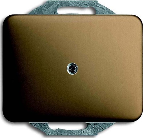 Busch-Jaeger Zentralscheibe bronze m.Tragr.f.Ltgsauslaß 1749-21