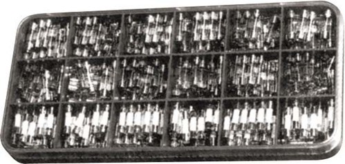 Scharnberger+Hasenbein Sicherungssortiment 8 M 5x20 360 Feinsich. 60710