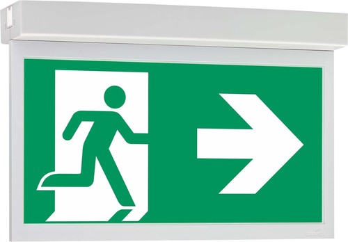 Ceag Notlichtsysteme LED-Einzelbatterie-Leuchte m.autom. Funkt.test 11821 1-8h/D CGLine+