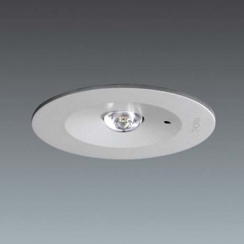 Thorn LED-Notlichtleuchte SPOT MRE E3M SIL VOYAGER C #96548992