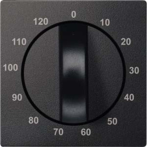 Merten Zentralplatte anthrazit f. Zeitsch.-Einsatz 539214 Merten Zentralplatte anthrazit f. Zeitsch.-Einsatz 539214