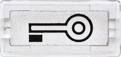 Merten Symbol Schlüssel kl rechteckig 395769